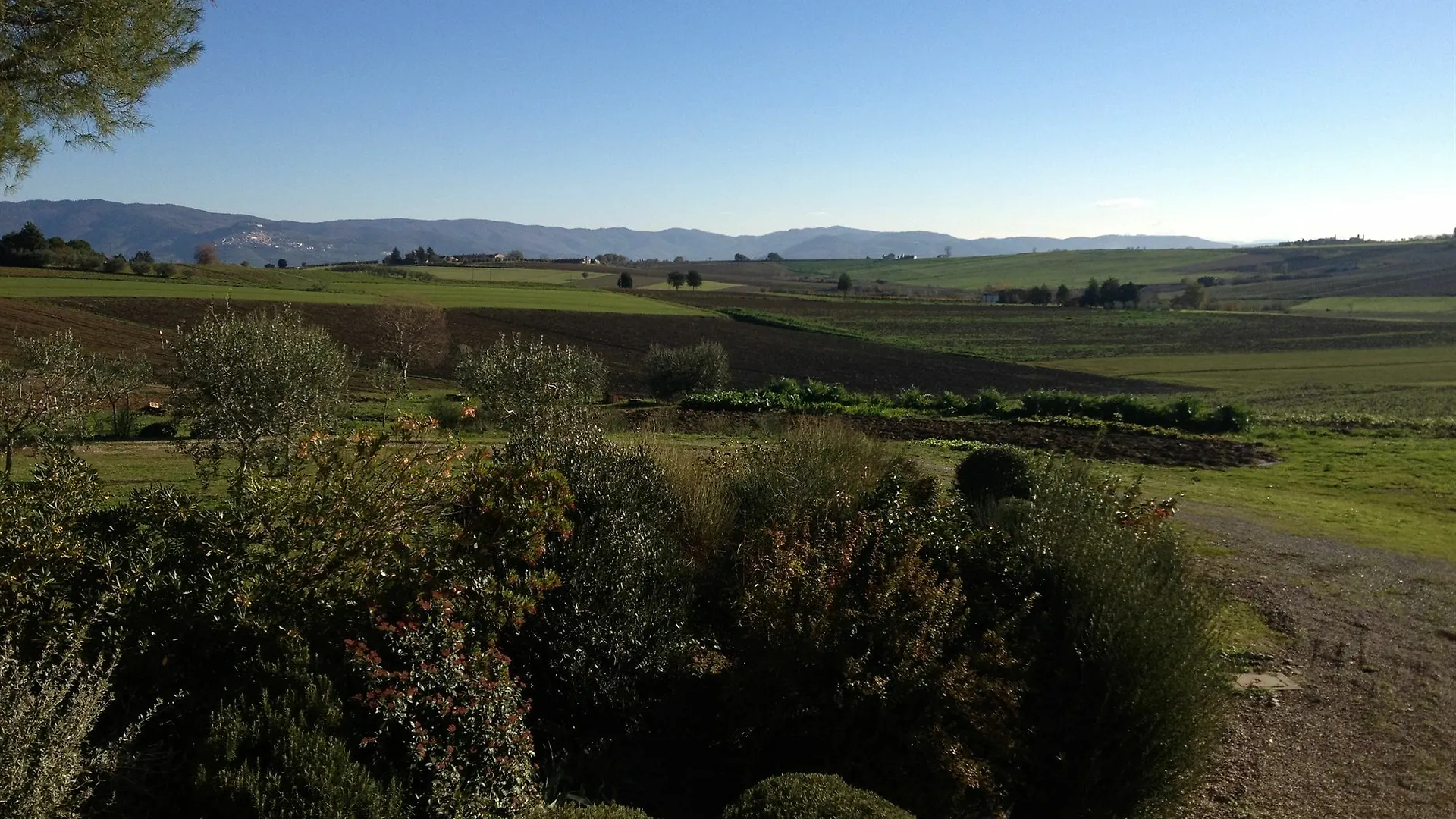 Casa Bellavista B&B Cortona